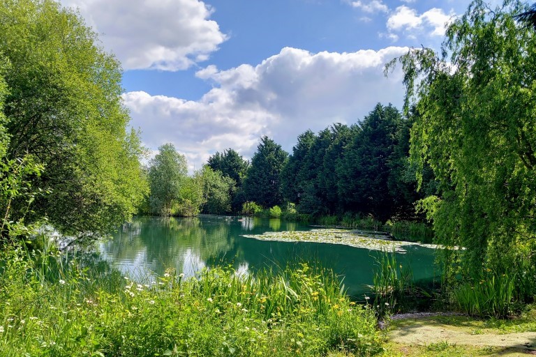 Beautiful woodland and lakes